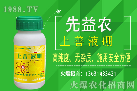 枇杷種植條件有哪些？枇杷種植要怎么施肥？