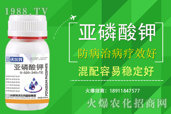 氮磷鉀主要的作用是什么？三者之間有什么關(guān)注？