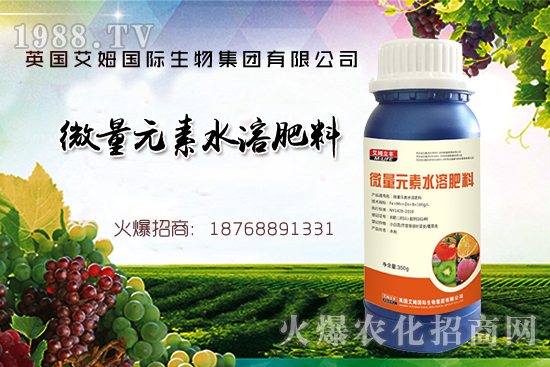 鐵、鋅、硼缺失癥狀，怎么補(bǔ)充作物所需元素？
