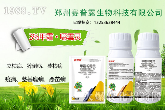 為什么霜霉病、猝倒病易發(fā)？難防治？
