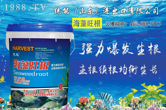 小麥種植時(shí)間如何確定？2020年小麥種植注意哪些問(wèn)題？