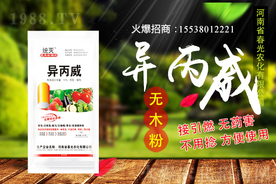 蒜苗種植前景及怎么樣？蒜苗種植要點及田間管理！