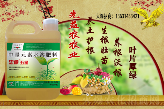 花生價(jià)格還能繼續(xù)上漲么？2020-11-10部分區(qū)域花生價(jià)格詳情