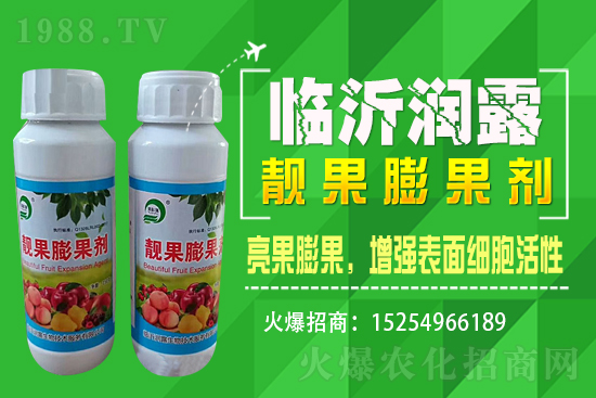水稻價(jià)格野蠻上漲，漲價(jià)原因已揭開，能漲到1.6嗎？