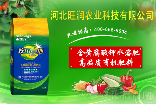 果園反光膜怎么鋪效果好？果園鋪反光膜五要點(diǎn)！