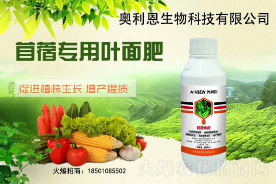 苜蓿越冬肥怎么施？苜蓿的施肥管理