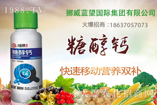 草莓缺鈣有哪些原因呢？草莓缺鈣癥狀及補(bǔ)救措施