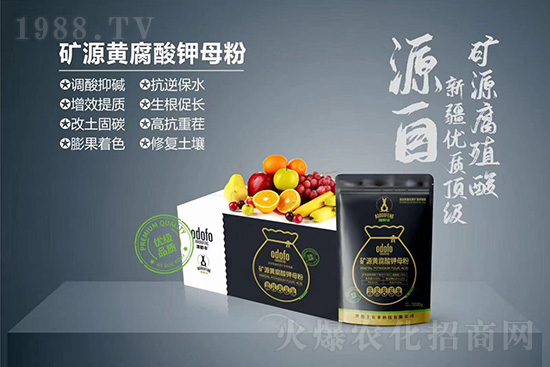 什么是蔬菜冷害？如何提高作物抗凍能力？