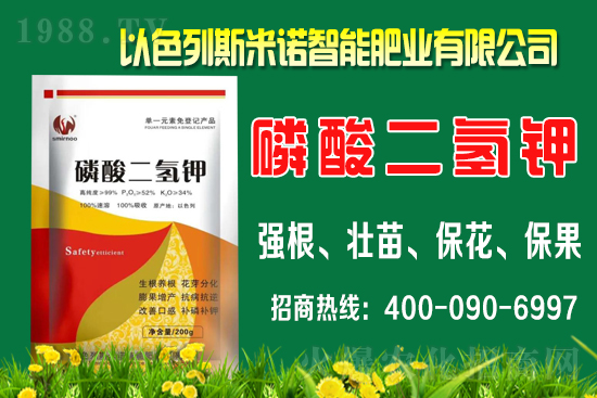 柑橘什么時間施肥？柑橘的施肥時間及用量介紹！