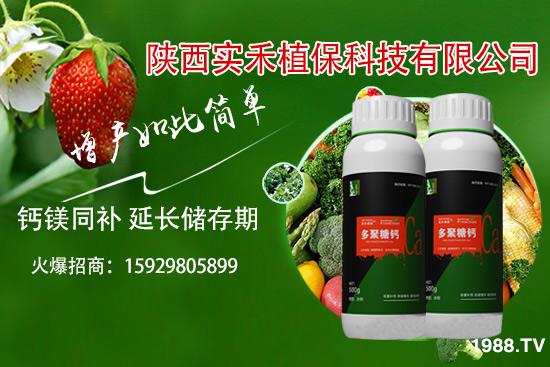 西紅柿卷葉是什么原因，西紅柿卷葉防治措施有哪些？