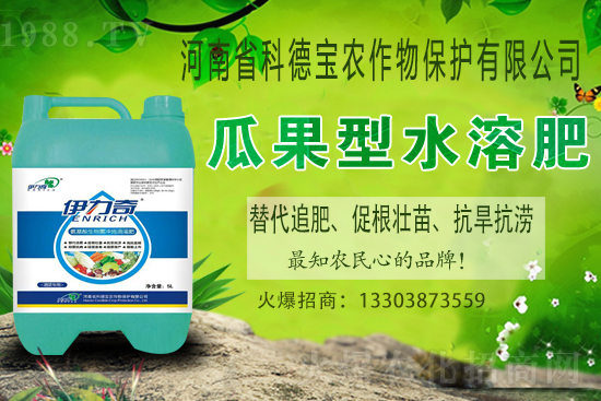 江西贛南臍橙什么時候成熟上市？如何挑選贛南臍橙？