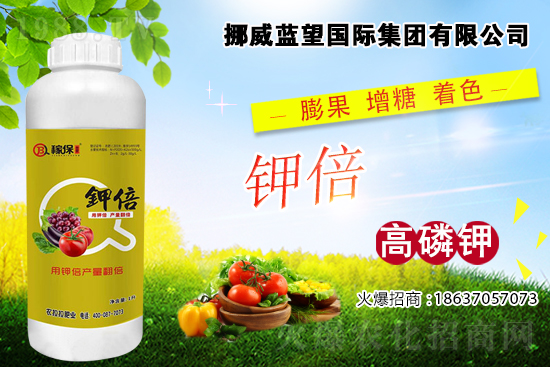 西紅柿著色差，快看是不是這些原因！西紅柿著色措施