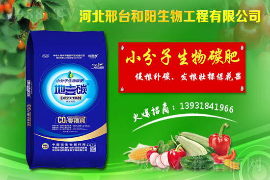春節(jié)前小麥價格會不會漲？今日小麥價格行情！