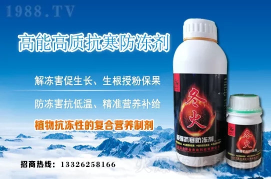 早春韭菜如何施肥？韭菜施肥方法和注意事項(xiàng)！