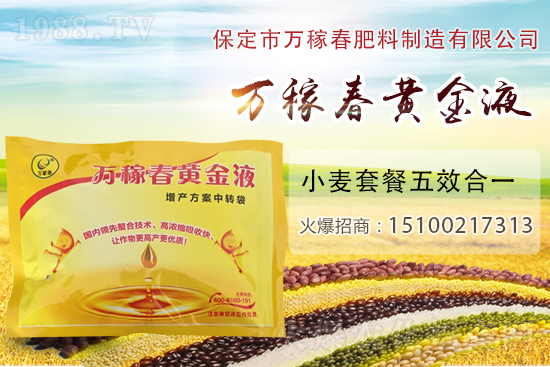 種植大蒜為什么要覆蓋地膜？地膜大蒜高產(chǎn)栽培及注意事項(xiàng)！