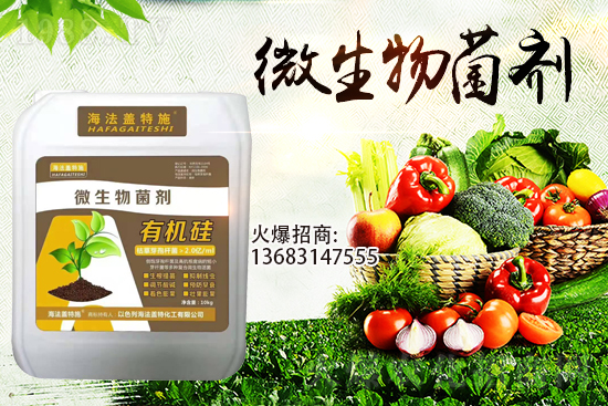 寒潮來襲！大棚持續(xù)低溫，作物生根要點(diǎn)！