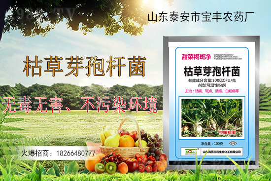 枯草芽孢桿菌能解決作物哪些問題？枯草芽孢桿菌在農作物上的應用！