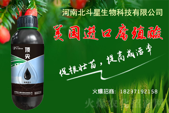 低溫條件下，大棚種植如何做到生根、養(yǎng)根、護根