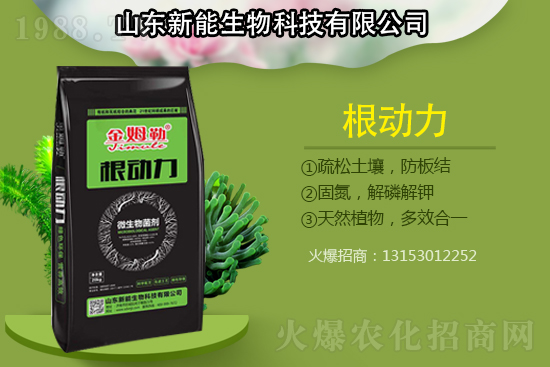 作物根部病害多原因在哪？解決病害生根措施怎么做？