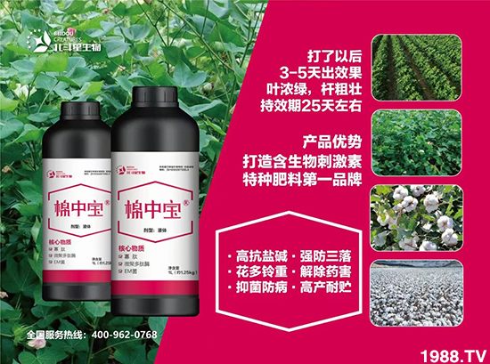 特種肥為什么這么火？有什么特點之處？