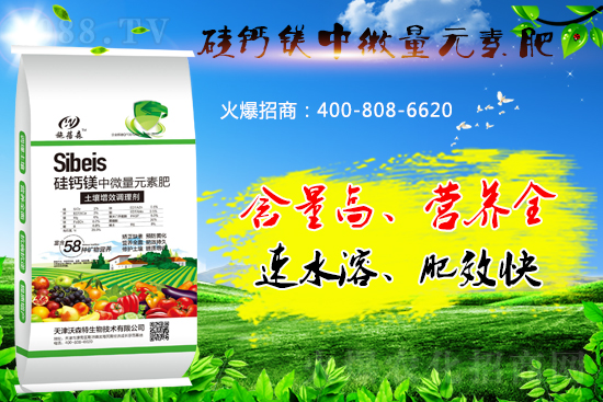 硅鈣鎂元素肥你了解多少？好處有哪些？