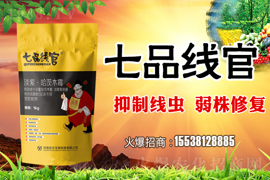     白菜根結(jié)線蟲危害極大！抓緊防治！白菜根結(jié)線蟲有效藥劑推薦！