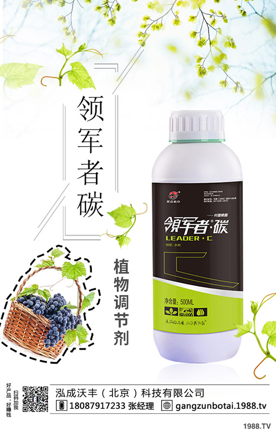 種植空心菜如何提高產(chǎn)量？這些種植方法要知道！