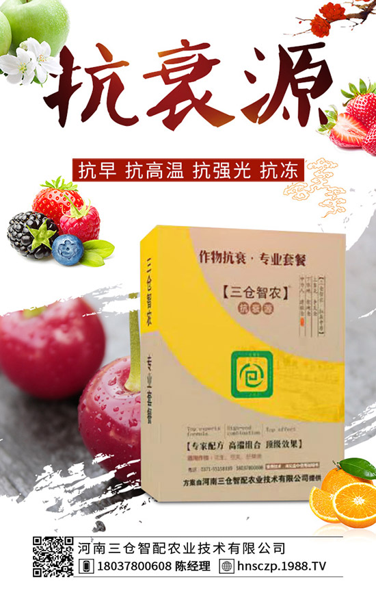 ���·��m�ϷNֲʲô�߲������·��߲˷Nֲע�����(xi��ng)��