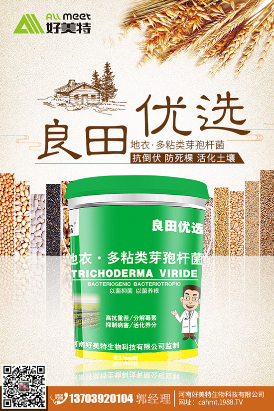 番茄青皮果到底什么原因？番茄青皮果如何有效預(yù)防？