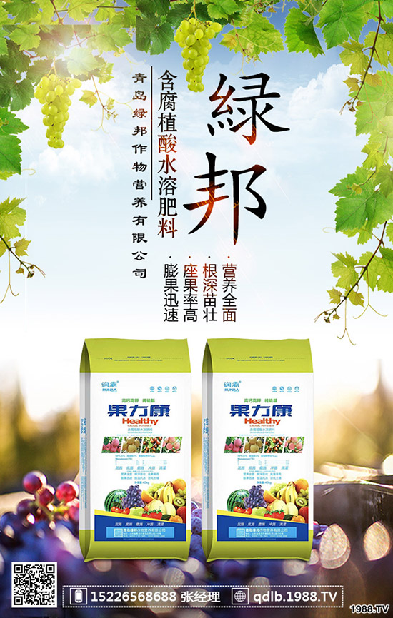 春季菠菜怎樣施肥好？種植菠菜如何科學施肥