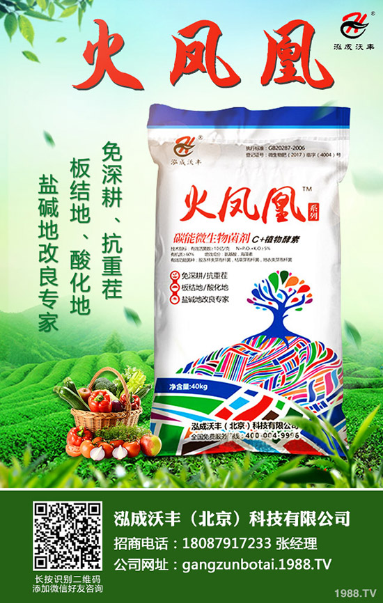 ��Ҋ�������ɺ��x����Щ���������ɺ��x���������