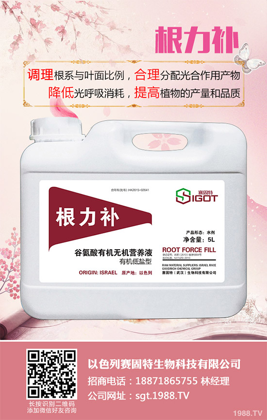 小麥春季常見的病害有哪些？該如何防治？春季小麥病害防治方法介紹