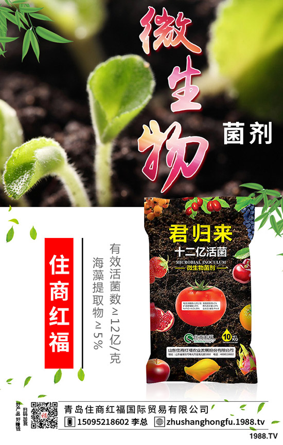 番茄肥害的典型癥狀有哪些，番茄發(fā)生肥害怎么辦？