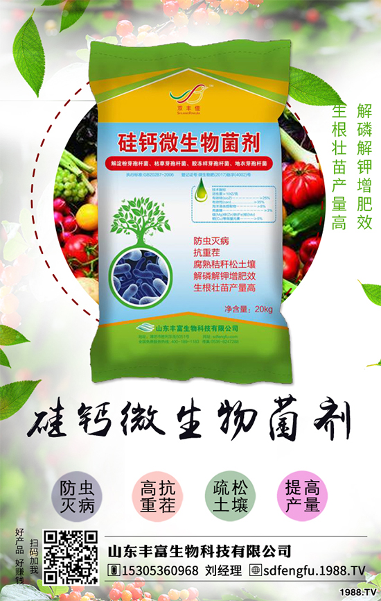 花生如何選種？花生怎么種植能高產(chǎn)？