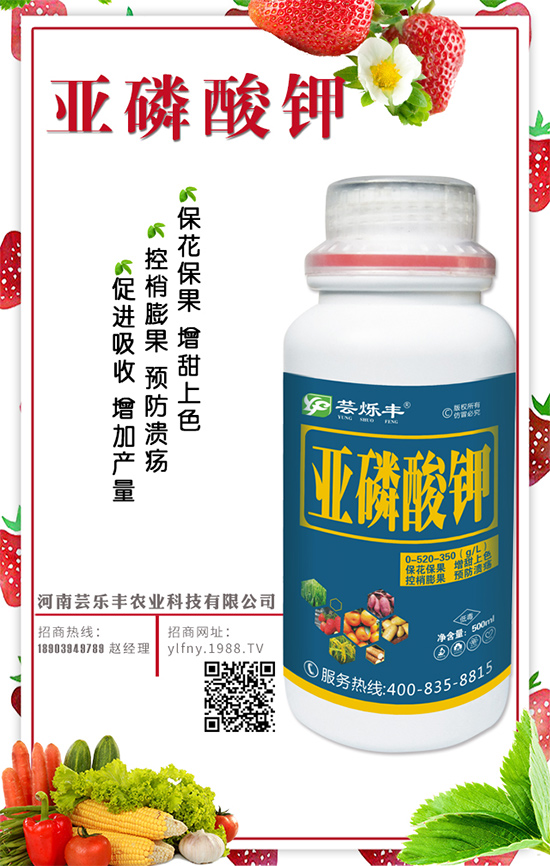 花生什么時(shí)間種植？花生生長(zhǎng)管理要點(diǎn)！