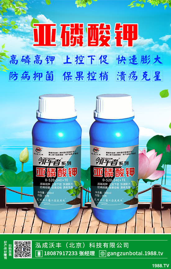 有機(jī)蔬菜與無公害蔬菜的區(qū)別，無公害蔬菜如何防蟲？