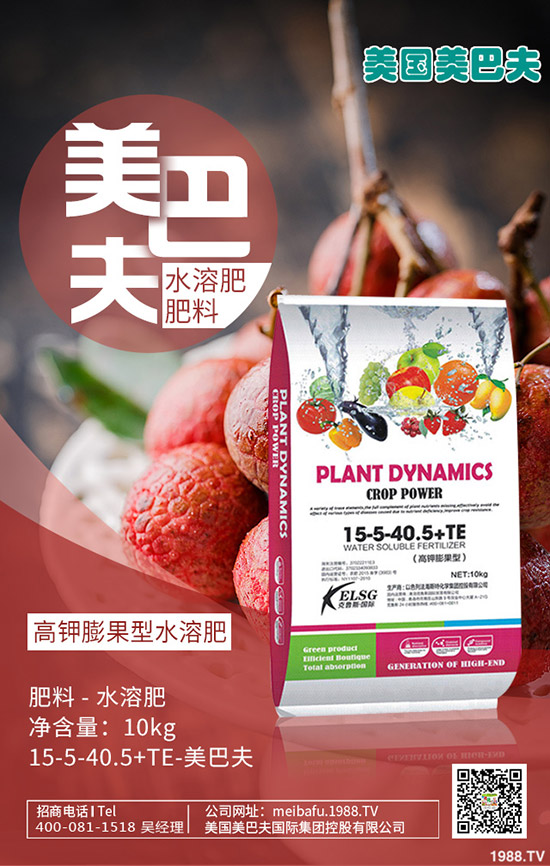 茼蒿怎么種？茼蒿的種植時間及方法