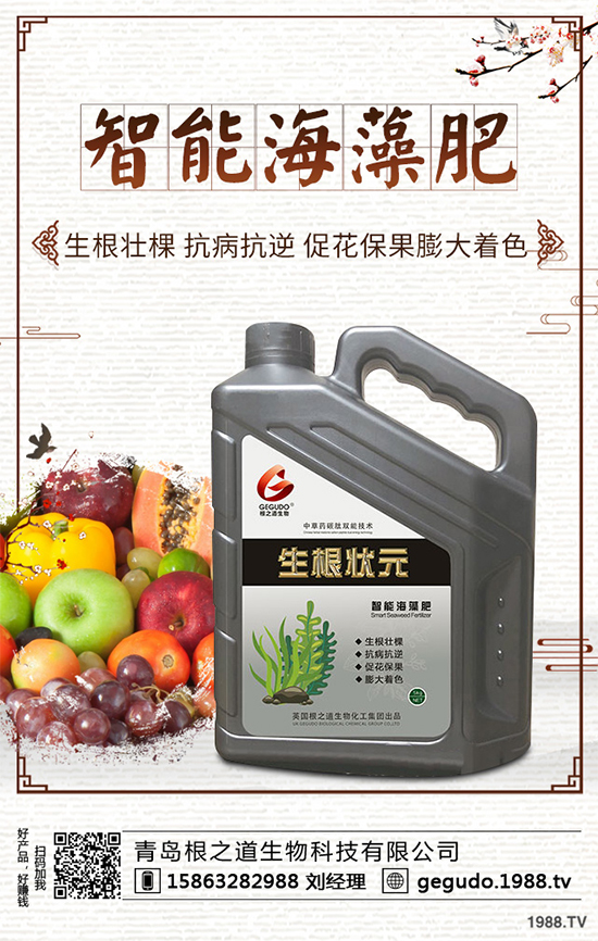 棉花種植怎么管理？棉花各個(gè)生長(zhǎng)期的管理技術(shù)要點(diǎn)！