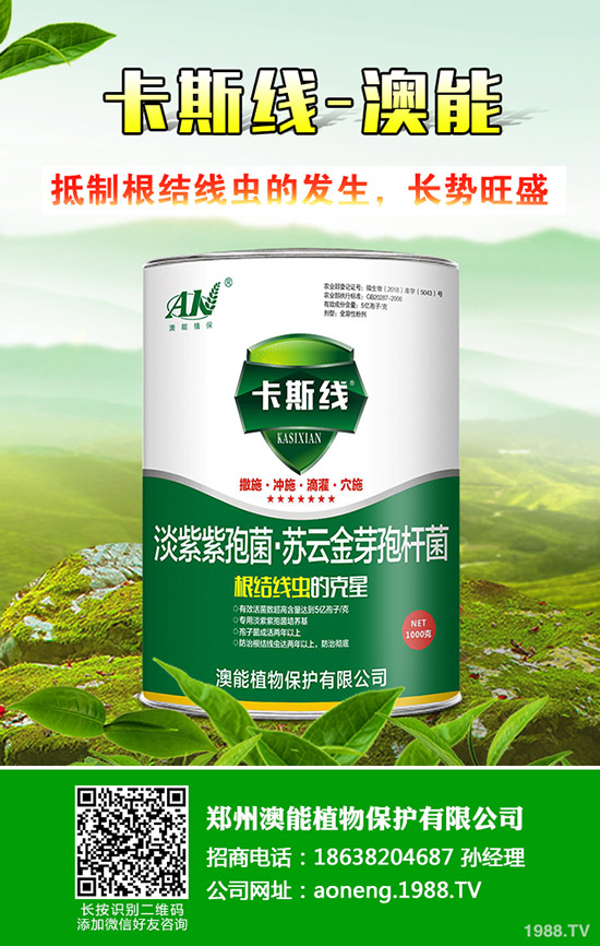 南瓜種植時(shí)間是什么時(shí)候？南瓜的種植技巧！