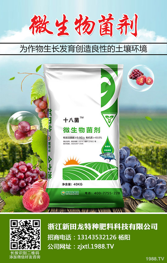 南瓜需肥規(guī)律，南瓜的施肥方法