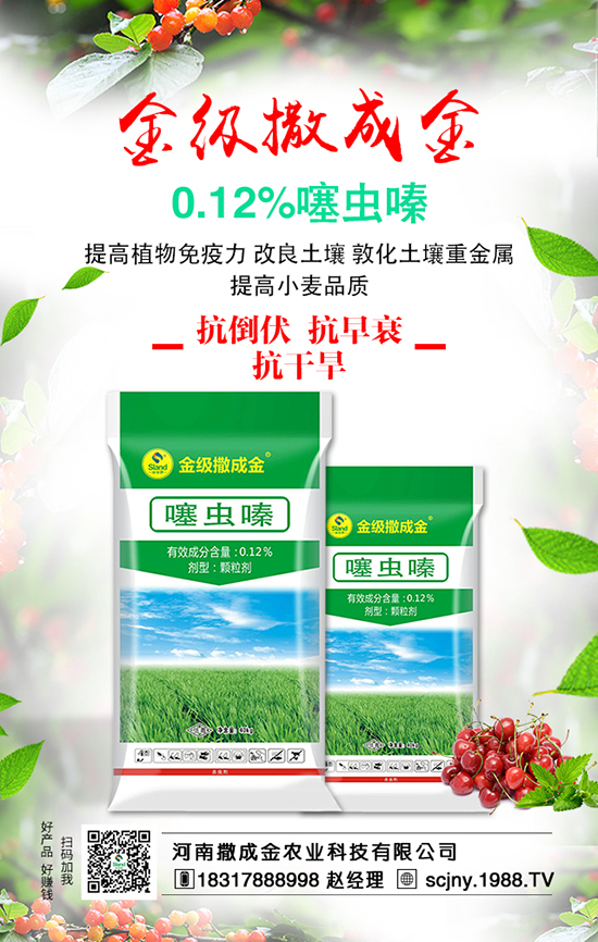 白菜畝產(chǎn)產(chǎn)量高，施肥方法有哪些？
