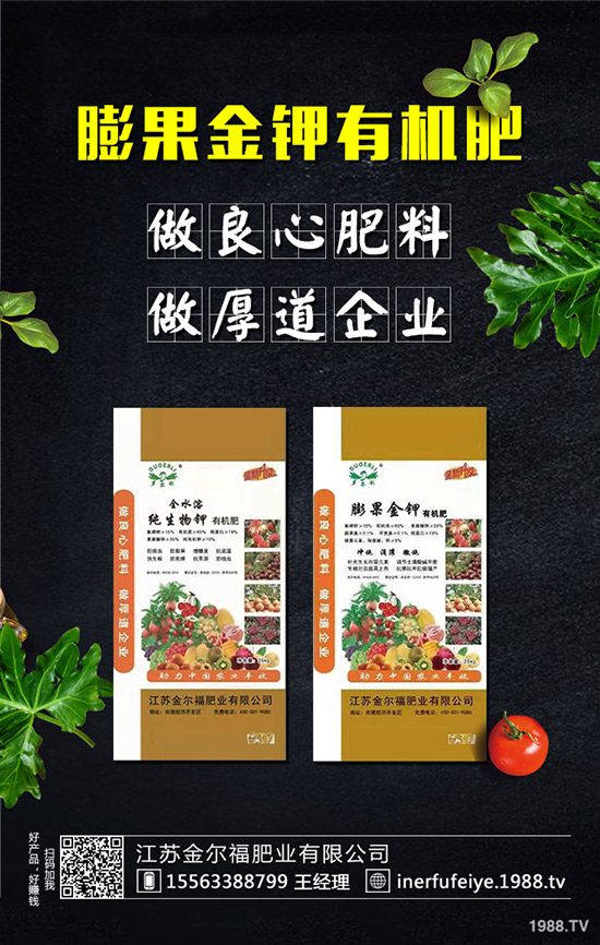 早春辣椒如何栽培高產？早春辣椒種植技術！
