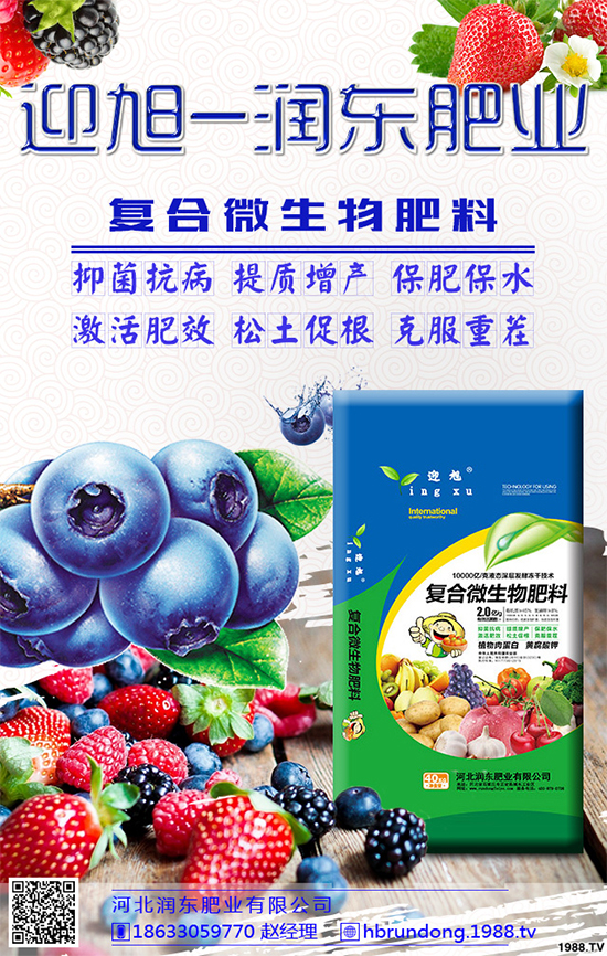 大棚香椿怎么栽培？大棚香椿高產栽培技術