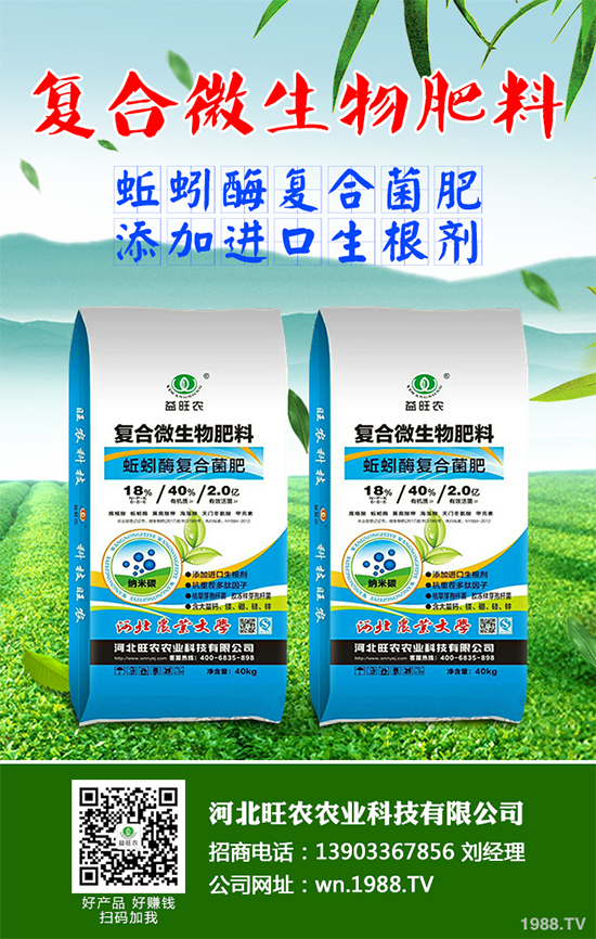大棚香椿怎么栽培？大棚香椿高產栽培技術