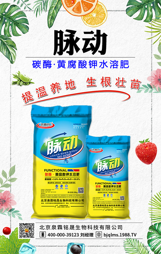 蒲公英藥用價值有哪些？蒲公英作用及功效！