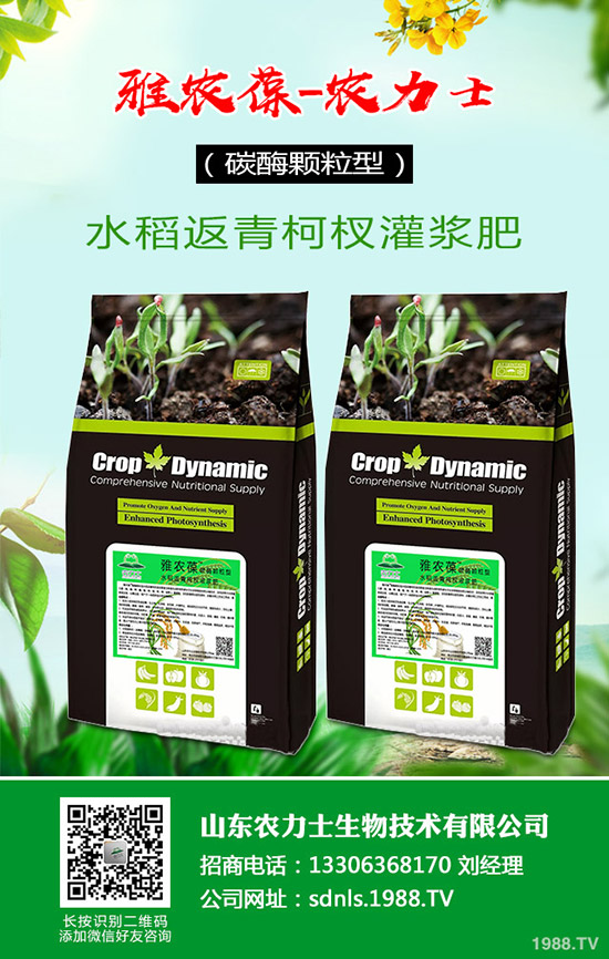     原料價格波動！復(fù)合肥成交受挫！2020年4月14日最新復(fù)合肥行情走勢分析：