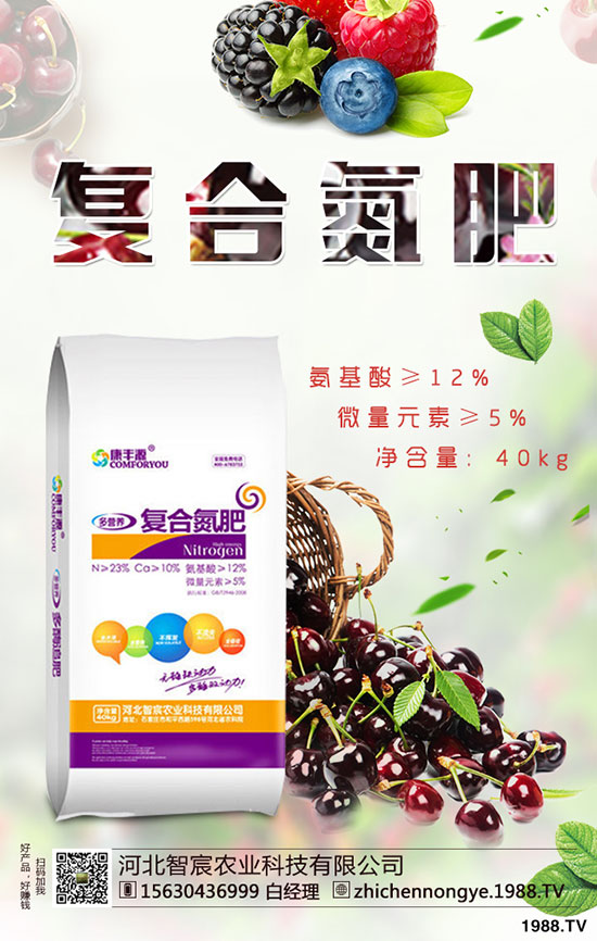 精品芒果種植技巧，施肥很關(guān)鍵！