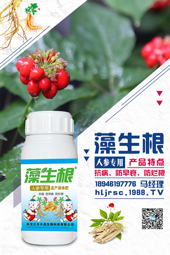 荔枝花期如何施肥，荔枝施肥原則及要點！