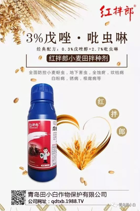 玉米為什么要拌種？玉米二次拌種及注意事項(xiàng)！