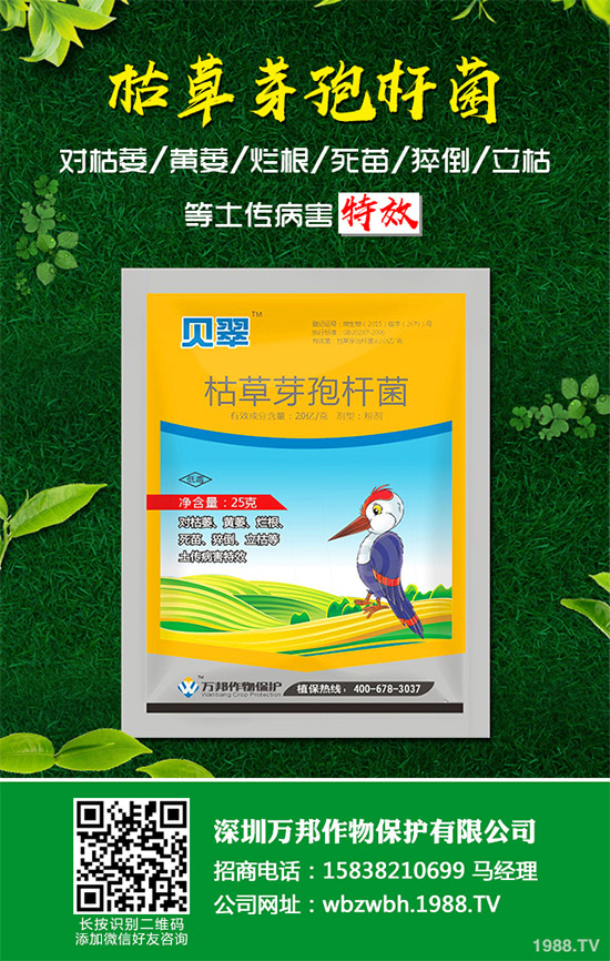 小麥赤霉病藥劑防治效果，有了新變化！